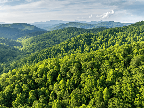 Sostenibilità Sostenibilità